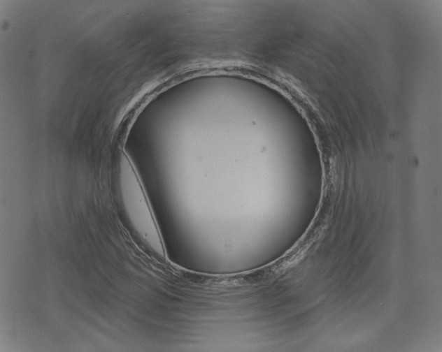 X0000072941165200607210900