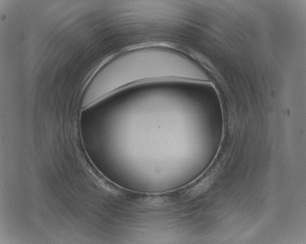 X0000072941177200607210900
