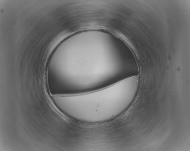 X0000072941187200607210859