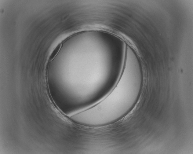 X0000072941192200607210859
