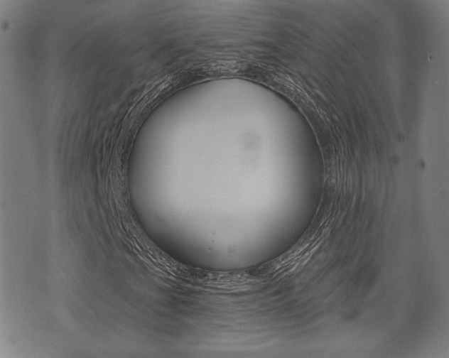 X0000072941201200607210858