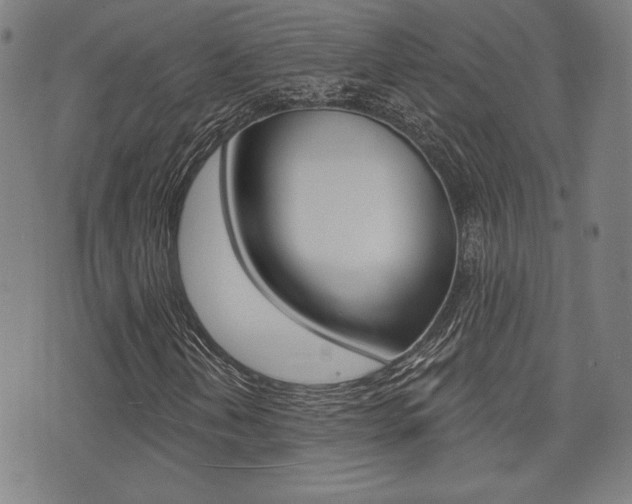X0000072941202200607210858