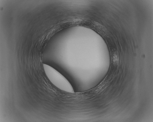 X0000072941204200607210859