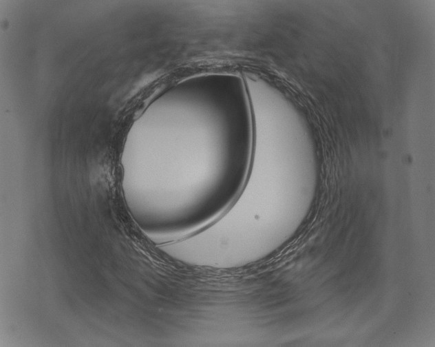 X0000072941206200607210859