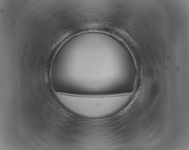 X0000072941209200607210859