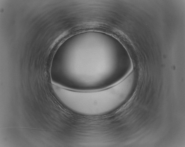 X0000072941210200607210859