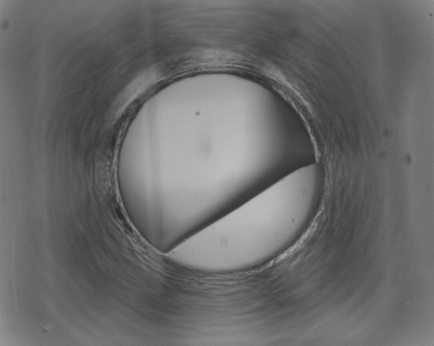 X0000072941211200607210859