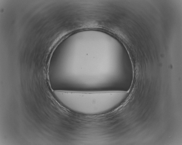X0000072941212200607210859
