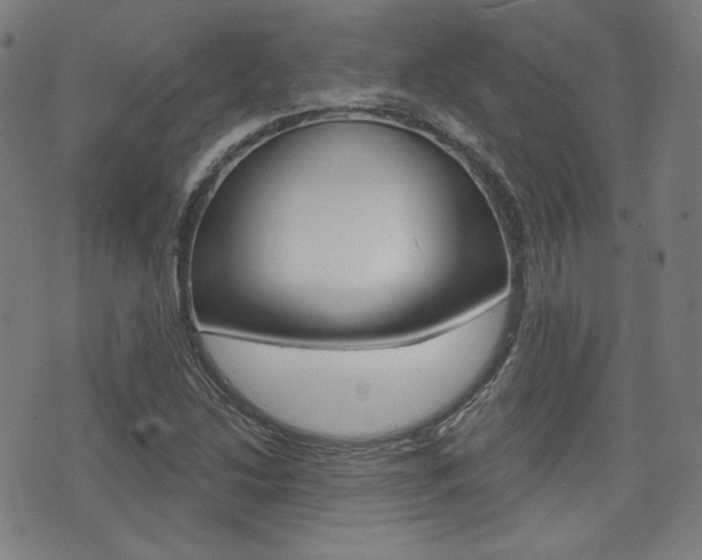 X0000072941214200607210859
