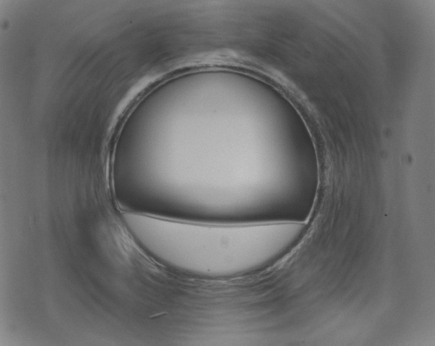 X0000072941224200607210859