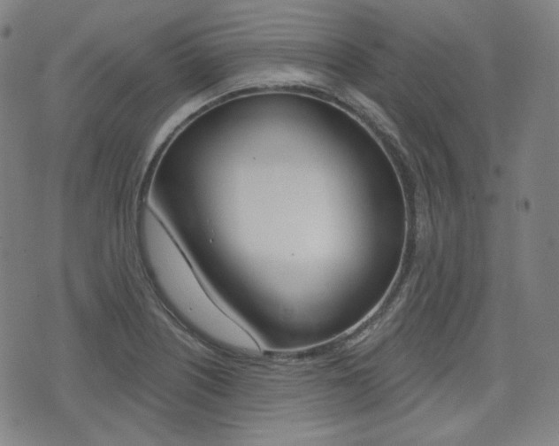 X0000072941226200607210859