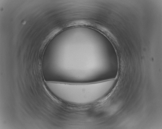 X0000072941233200607210859