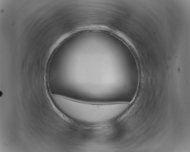 X0000072941237200607210859