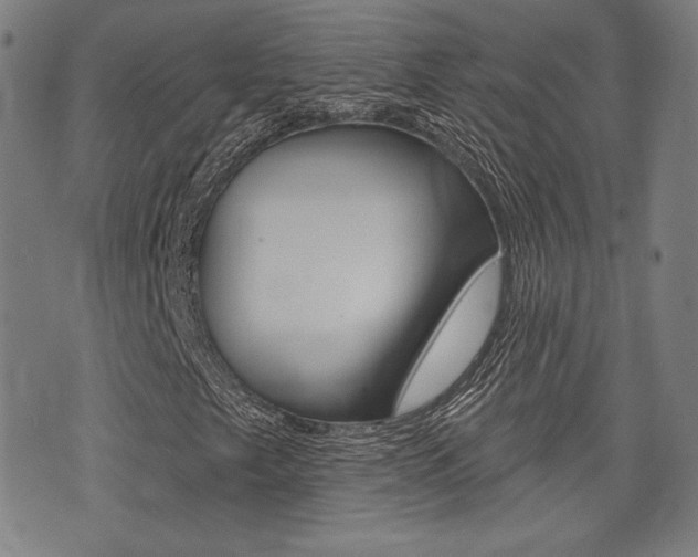 X0000072941249200607210858