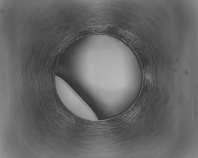 X0000072941252200607210858