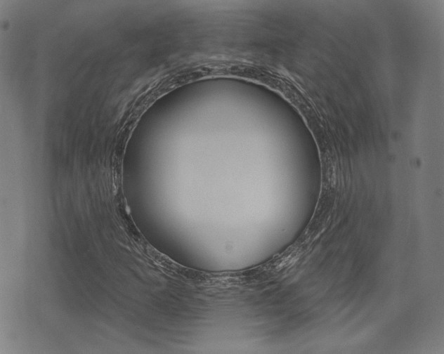 X0000072941253200607210858