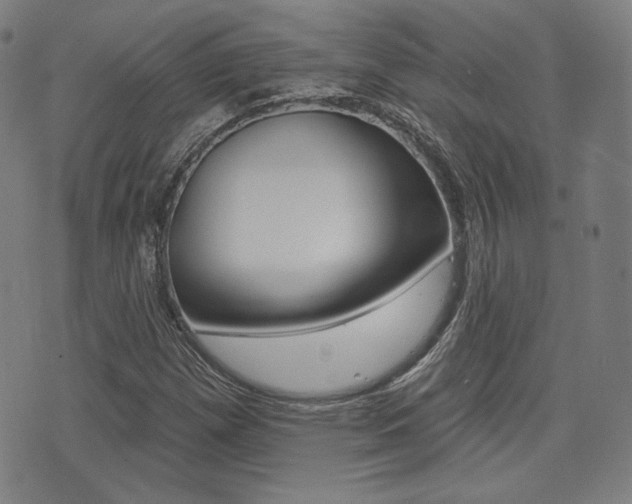 X0000072941257200607210858