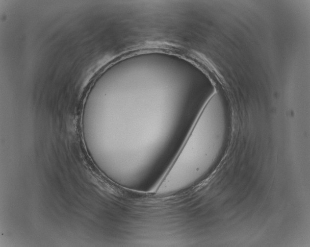 X0000072941260200607210858