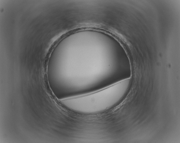 X0000072941264200607210858
