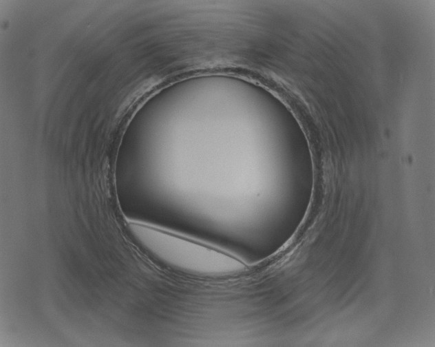 X0000072941265200607210858