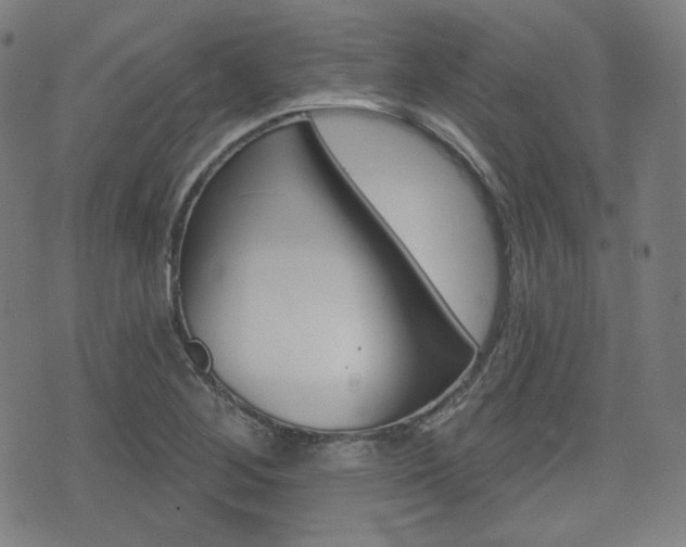 X0000072941268200607210858