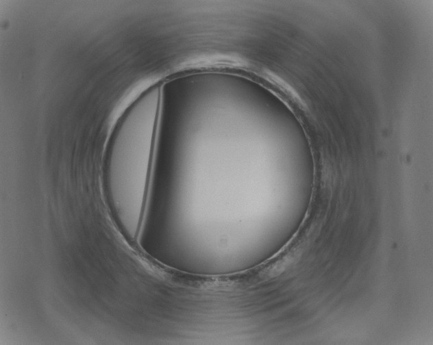X0000072941277200607210858