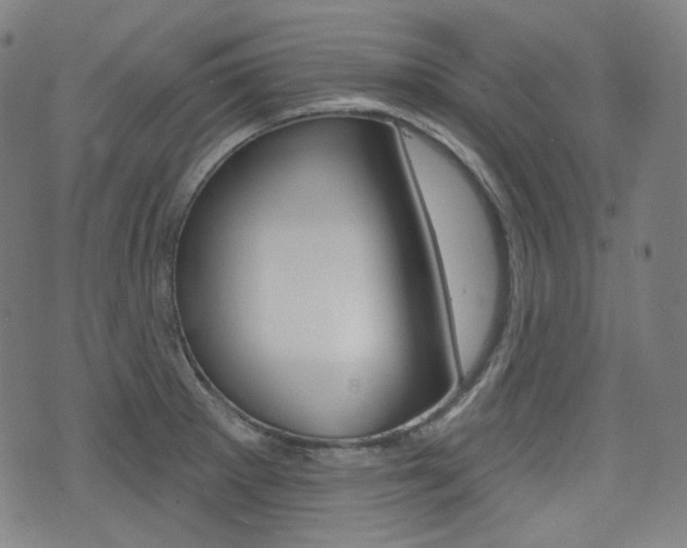 X0000072941281200607210858