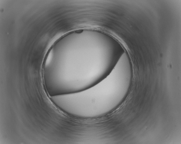 X0000072941291200607210858