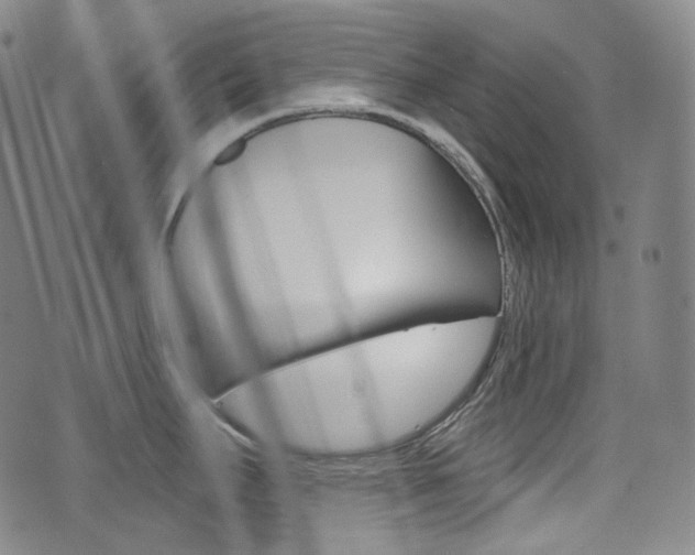 X0000072941295200607210858