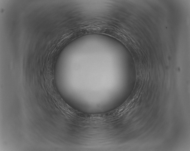 X0000072941297200607210857