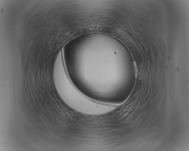X0000072941298200607210857