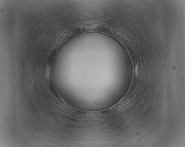 X0000072941299200607210857
