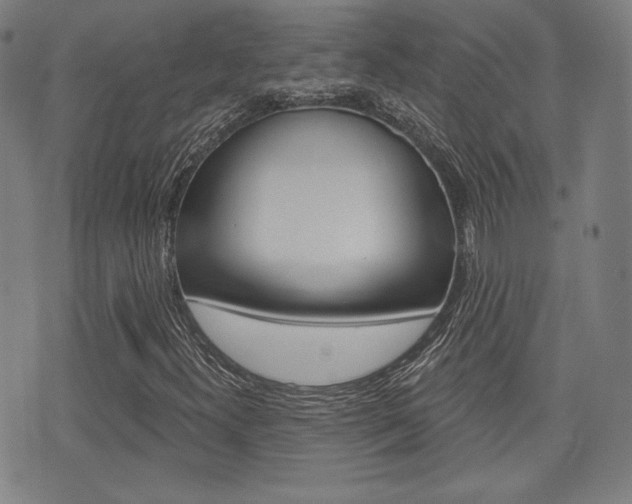 X0000072941300200607210857