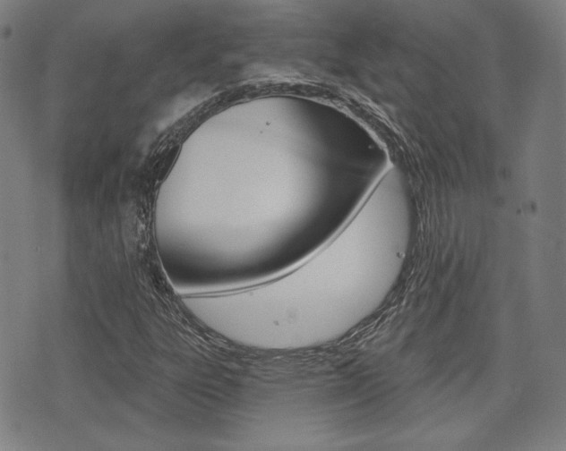X0000072941303200607210857