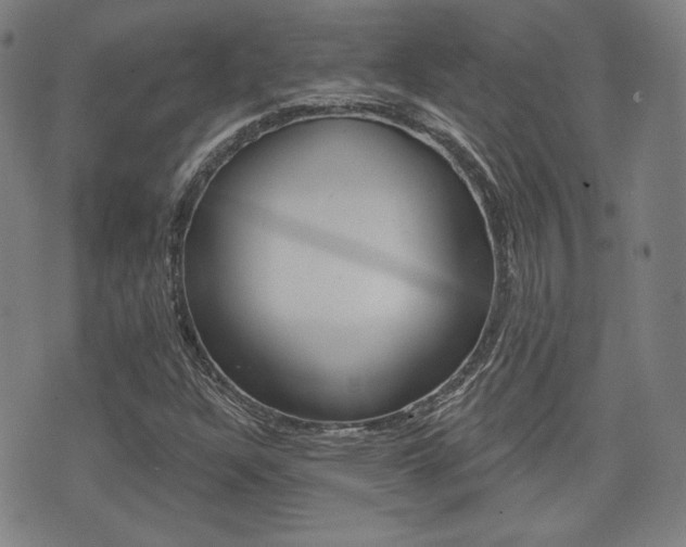 X0000072941304200607210857