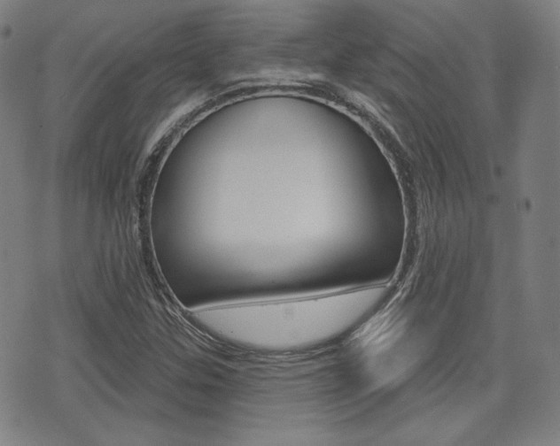X0000072941307200607210857