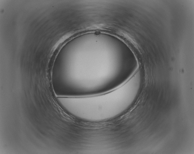 X0000072941308200607210857