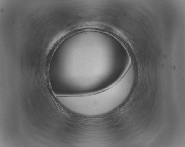 X0000072941312200607210857