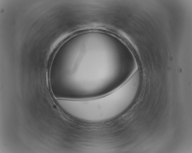 X0000072941320200607210857