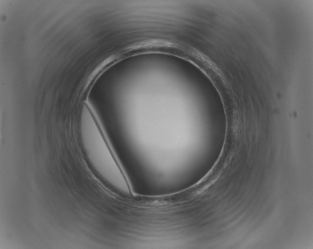 X0000072941321200607210857