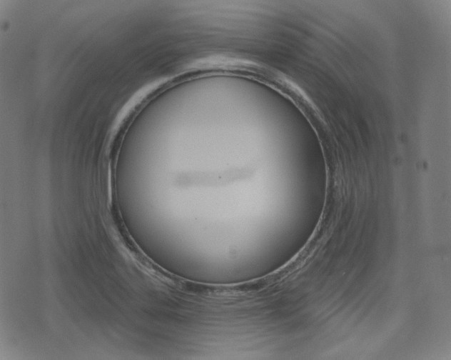 X0000072941323200607210857