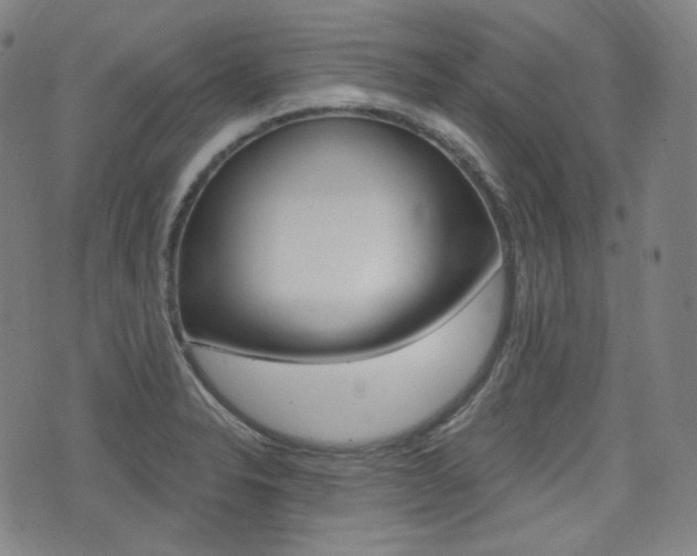 X0000072941326200607210857