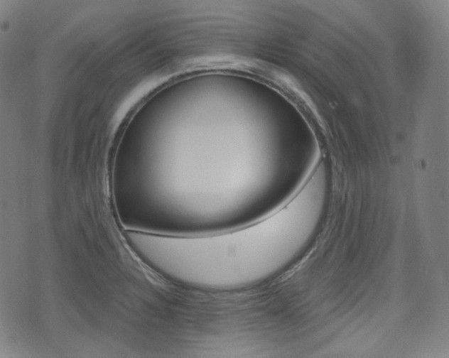 X0000072941328200607210857