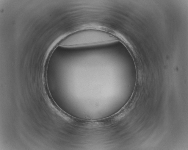X0000072941331200607210857