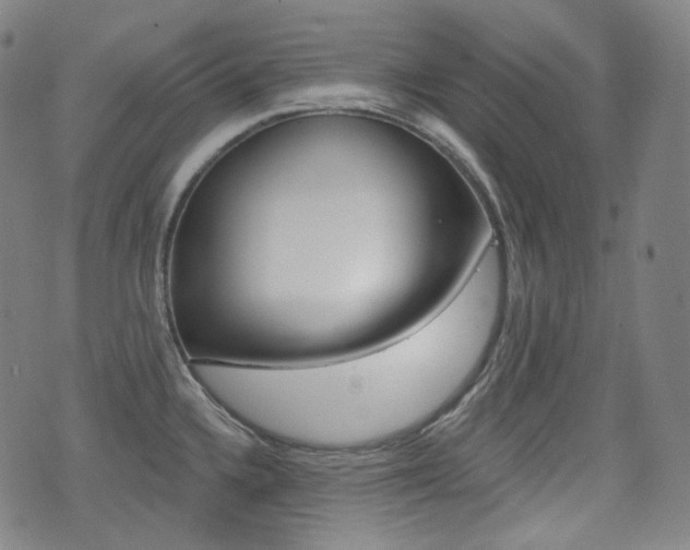 X0000072941336200607210858