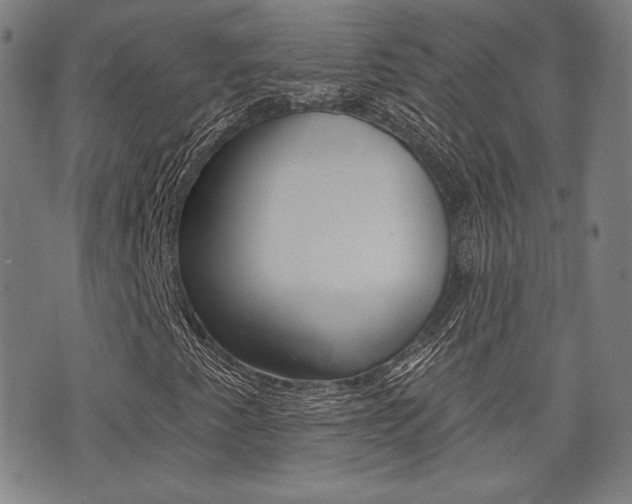 X0000072941345200607210857