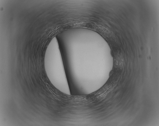X0000072941346200607210857