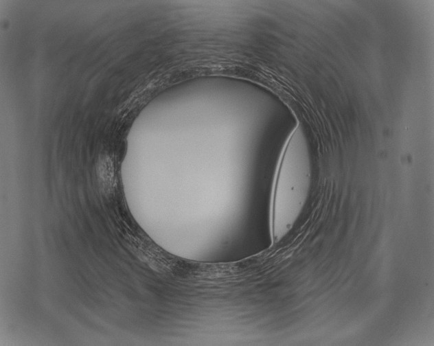 X0000072941347200607210857