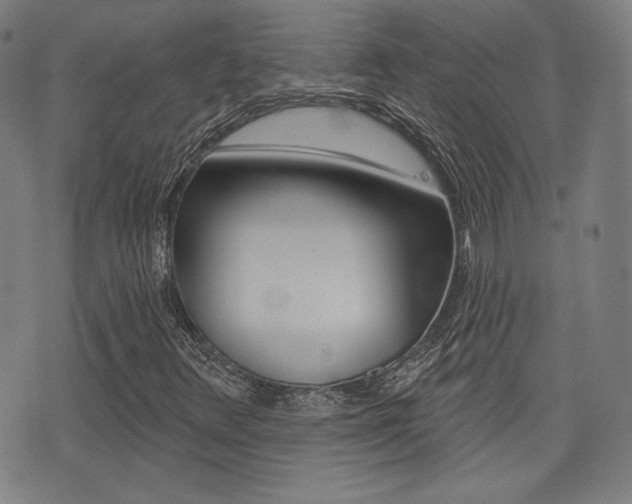 X0000072941348200607210857