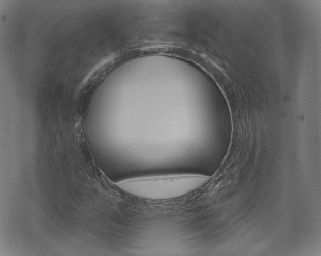 X0000072941351200607210857